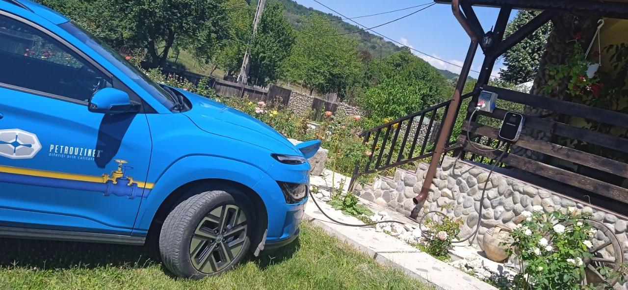 Pensiunea Gradinarilor Cu Ciubar Si Statie De Incarcare Electrica Auto Comanesti  Bagian luar foto